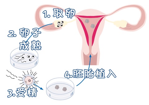 副院长